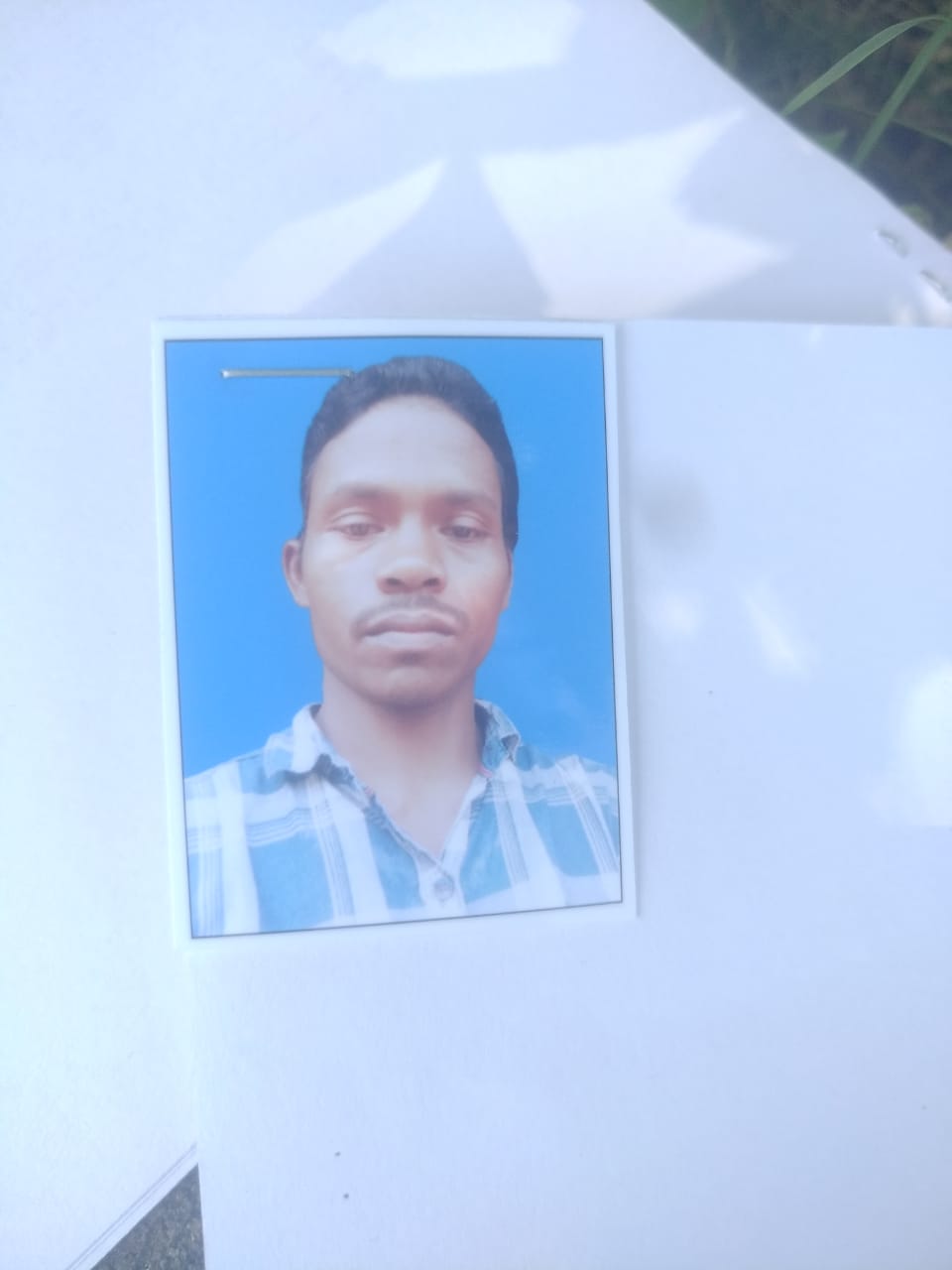 Passport Photo