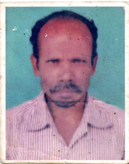 Passport Photo