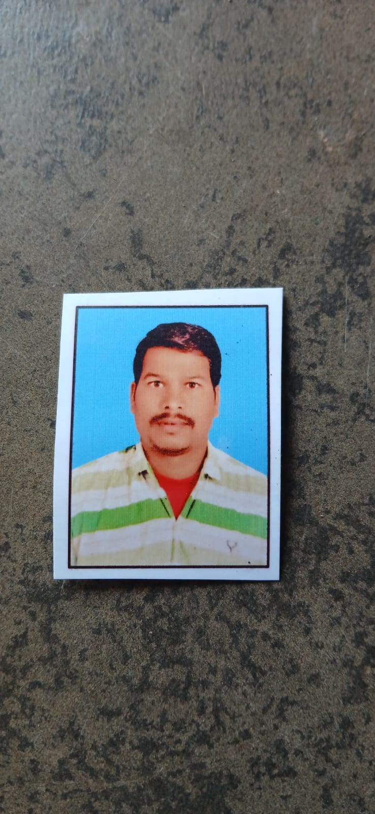 Passport Photo