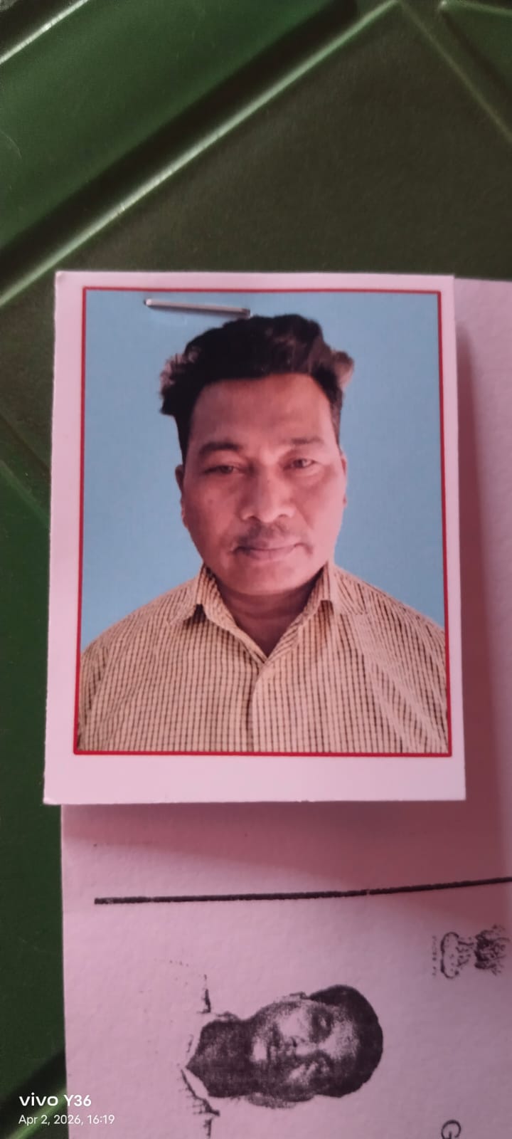 Passport Photo