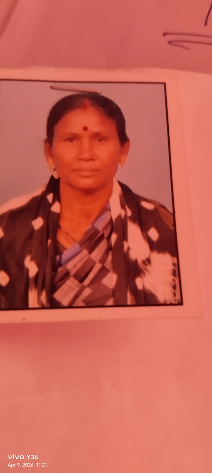 Passport Photo