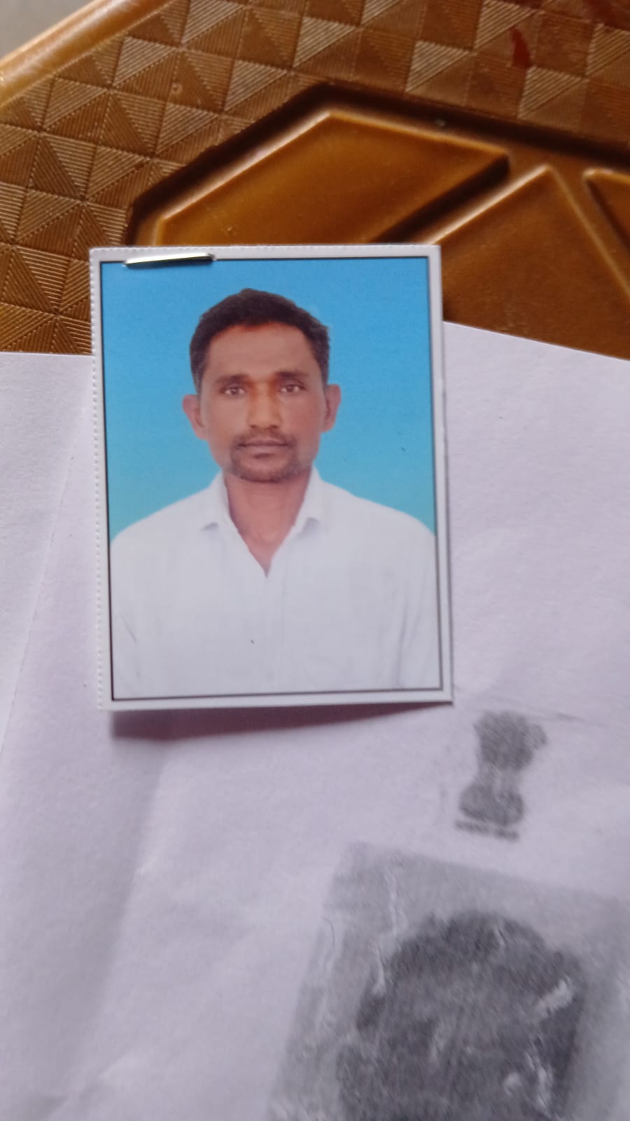 Passport Photo
