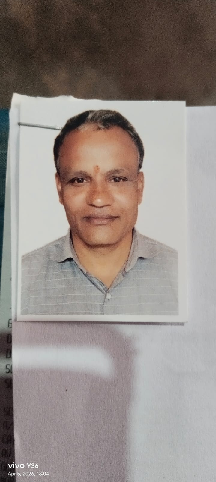 Passport Photo