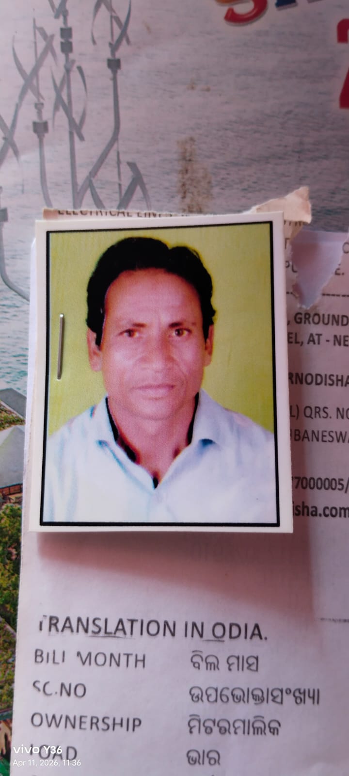 Passport Photo