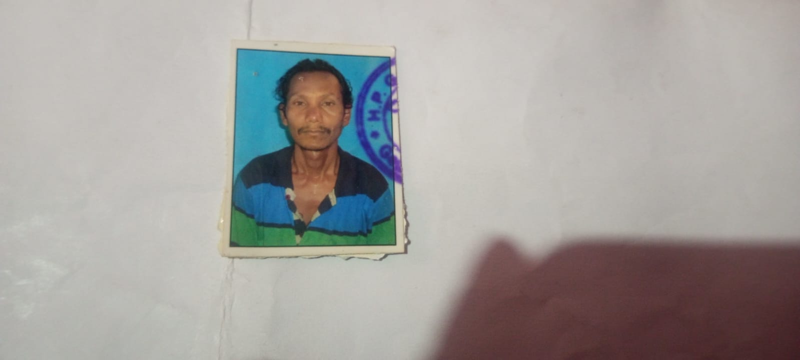 Passport Photo