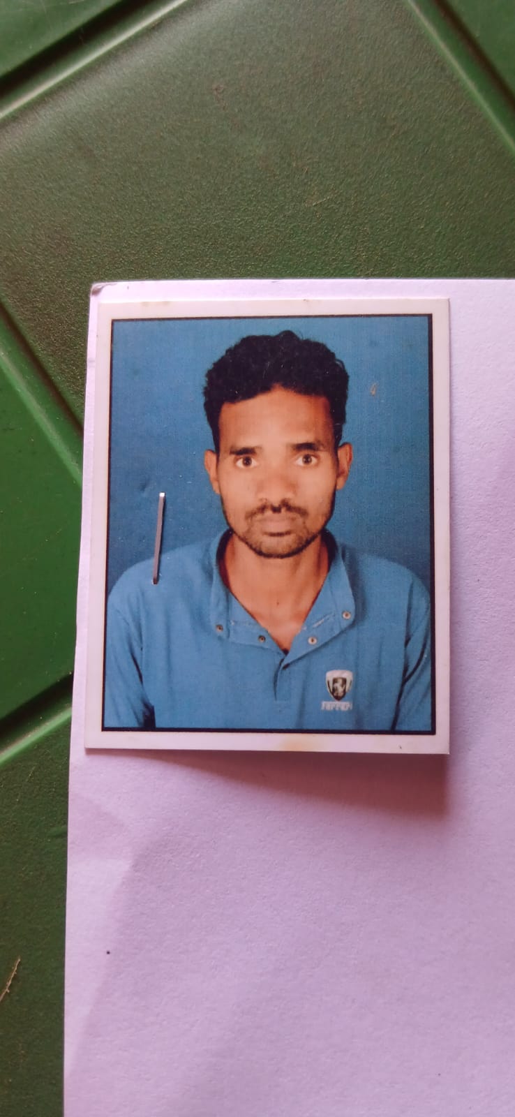 Passport Photo